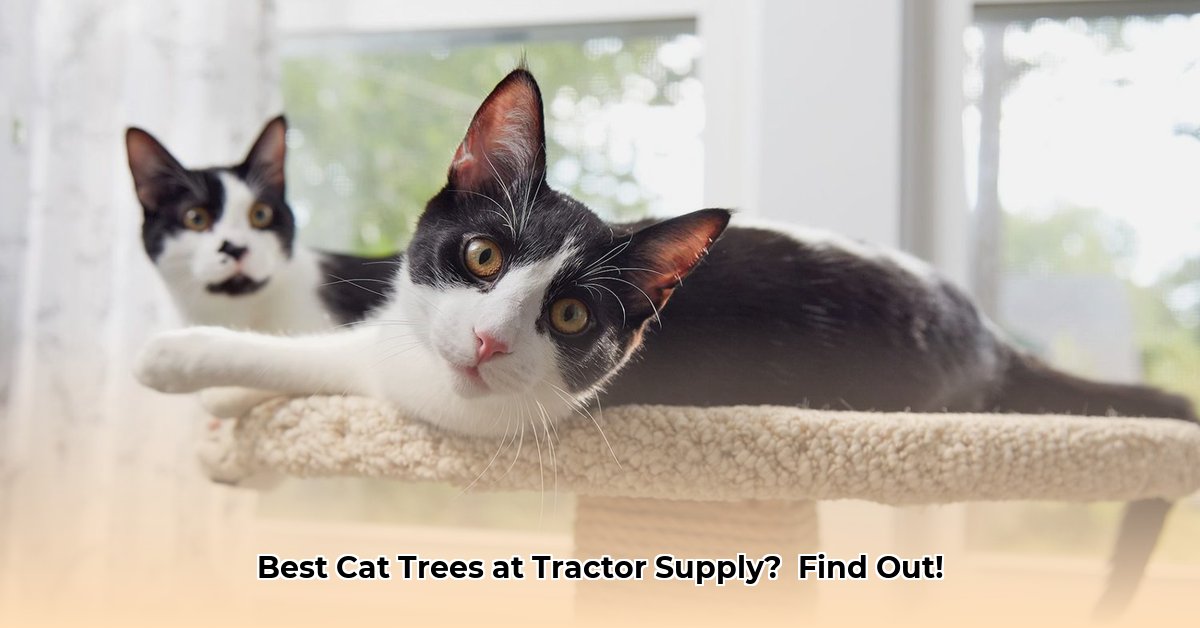 cat-tree-tractor-supply